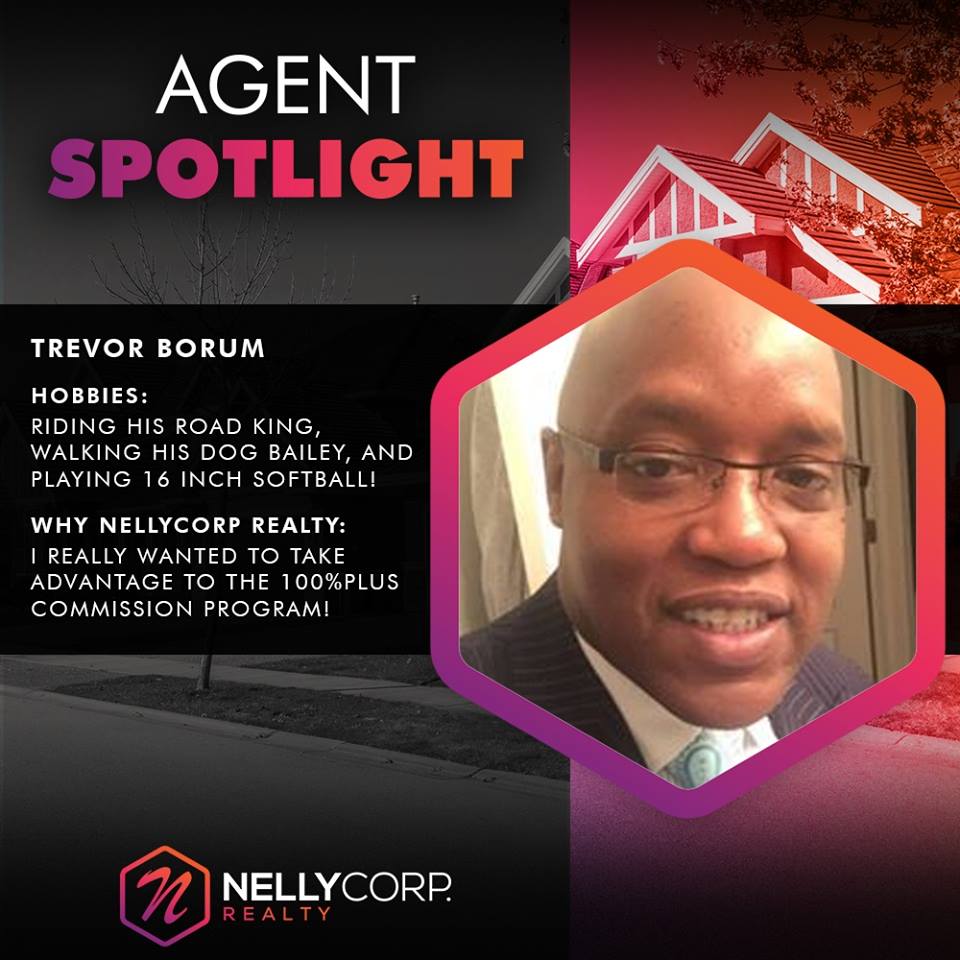 20229044_314756218935270_7833548704743942179_n